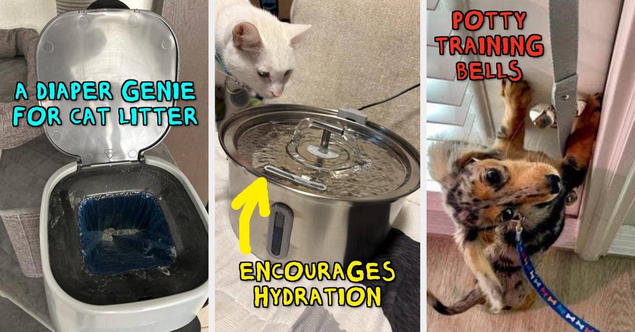 27 Things From Chewy That Deserve To Be Nominated For Awards