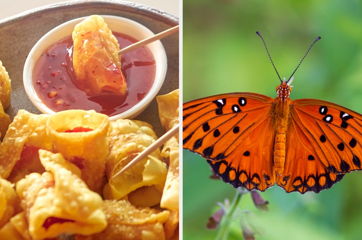 Build Your Perfect Asian Buffet Plate And Discover Which Butterfly You Are