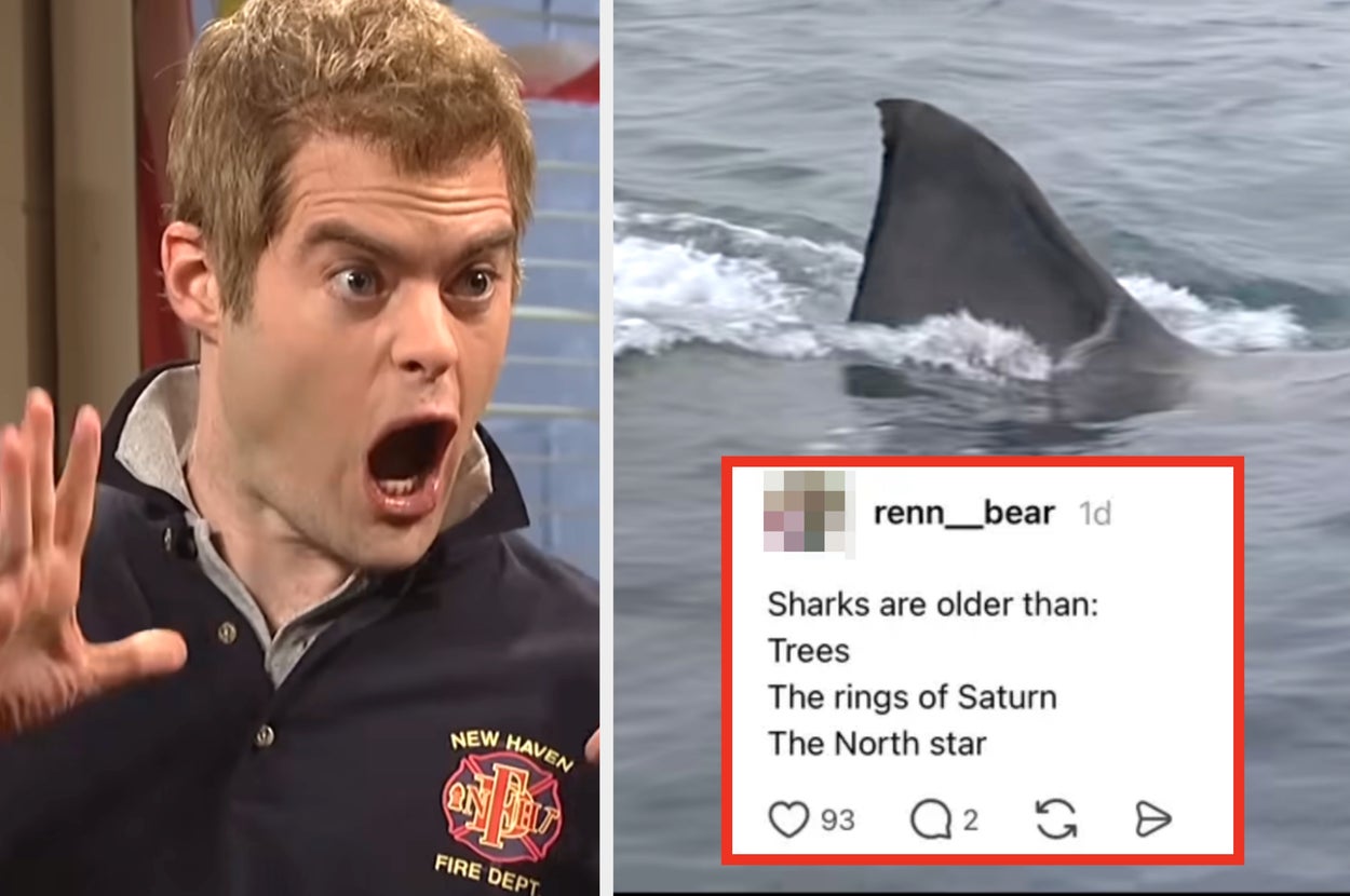 I'm Warning You, These 16 Absolutely Cooky Facts Will Forever Occupy Real Estate In Your Brain