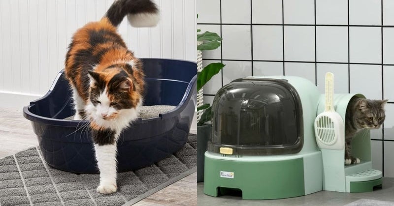 If Your Cat Tracks Litter Mess All Over The House, You Need These 9 Products