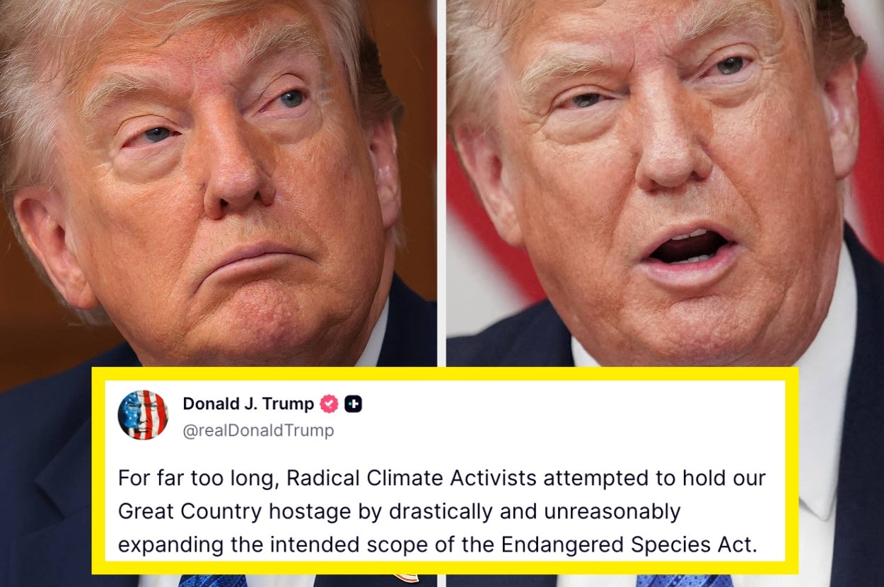 "Evil": Trump Is Rolling Back Protections For Endangered Species, And People Are Furious