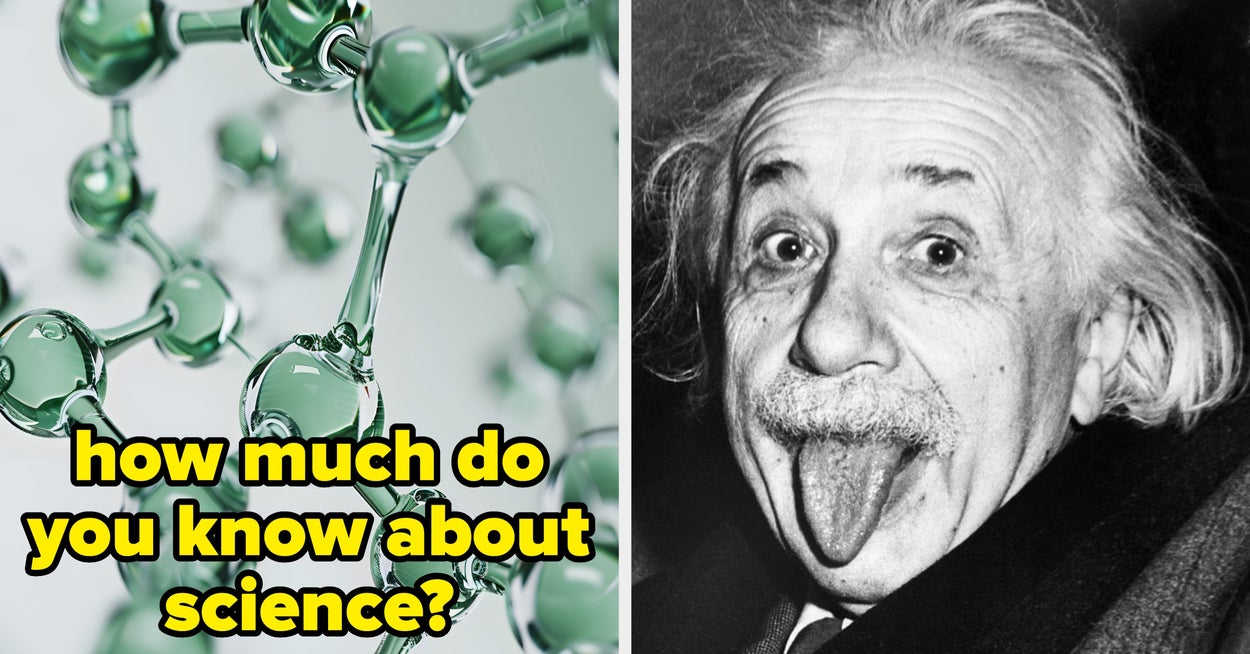 You're Actually A Genius If You Can Score Higher Than 87% On This Fifth-Grade Biology Test — image 2