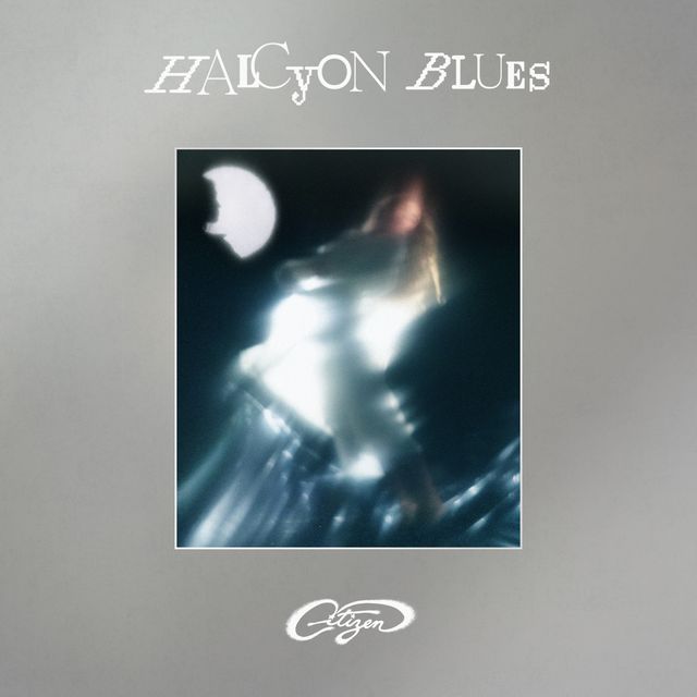 Citizen: Halcyon Blues — image 7