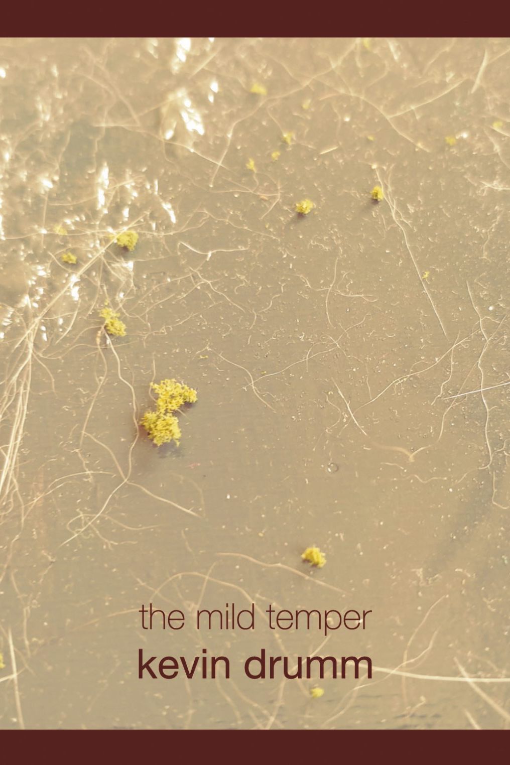 Kevin Drumm: The Mild Temper